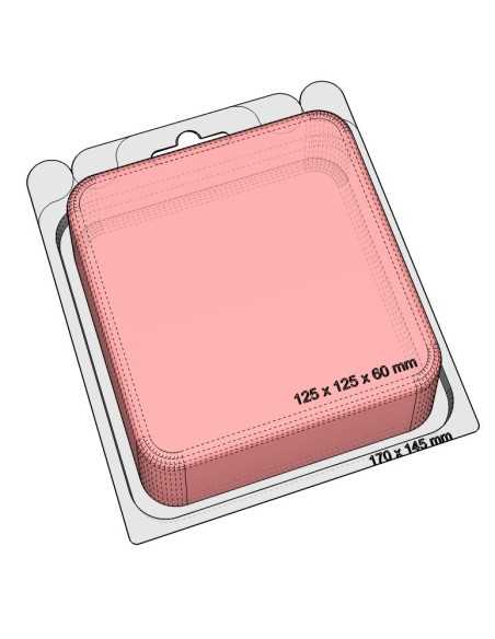 Blister autocierre 125x125x60 mm - Pack 225 uds.